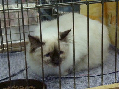 20121021_117 (Expo)
